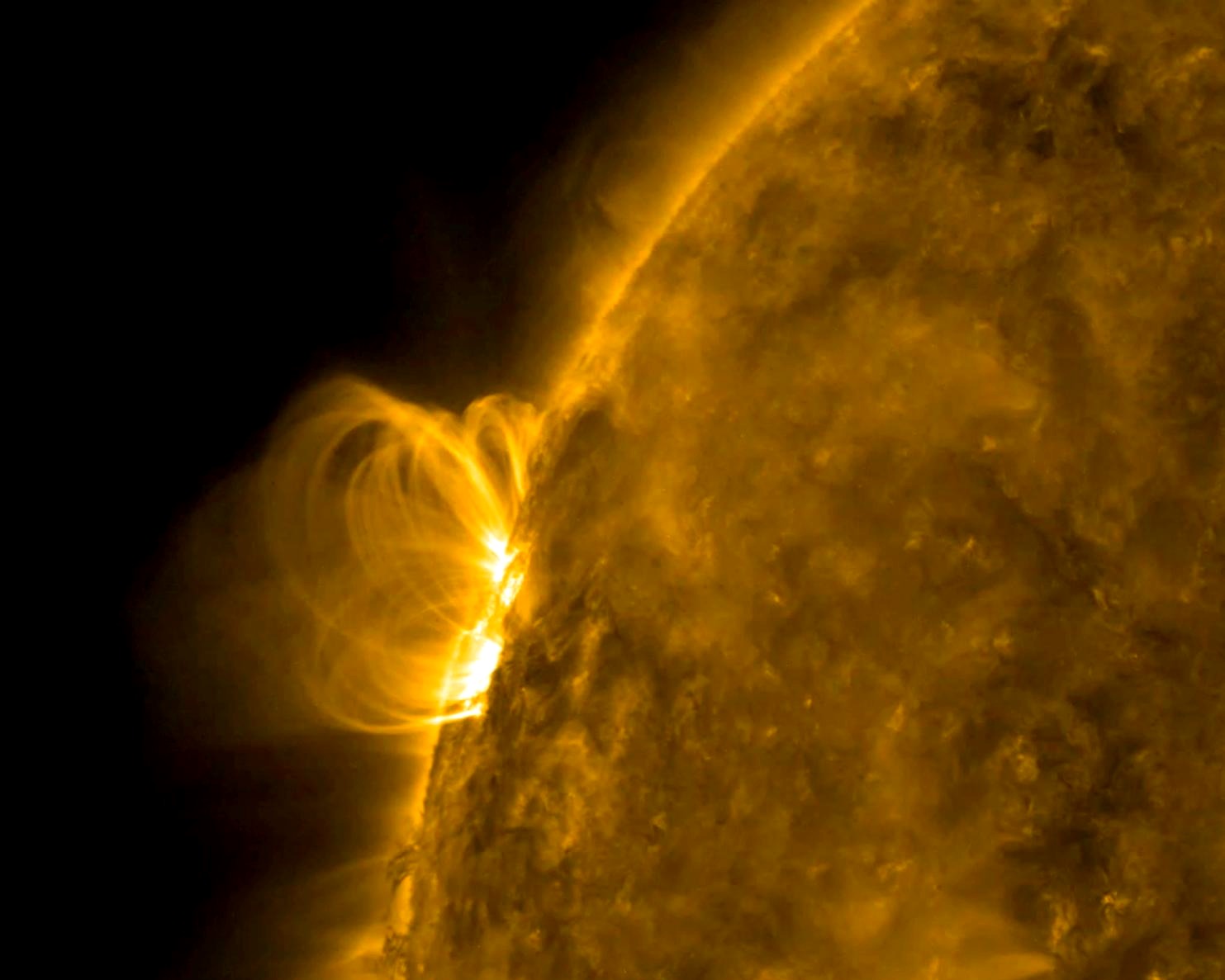 Bucles de campo magnético solar fotografiados por la NASA